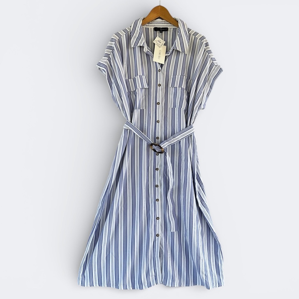 Fred David Blue and White Striped Button-Front Shirt Dress